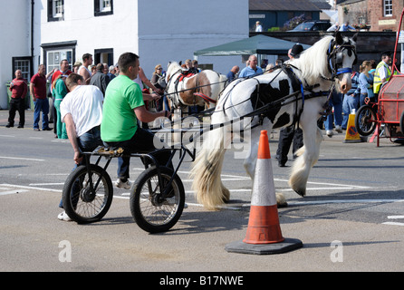 Les voyageurs tsiganes avec cheval au trot et piège. Appleby Horse Fair. Appleby-in-Westmorland, Cumbria, Angleterre, Royaume-Uni. Banque D'Images