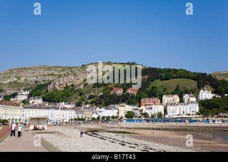 Llandudno North Wales UK North Parade promenade plage et hôtels sur front de mer dans la ville de villégiature de style victorien classique Banque D'Images