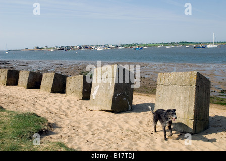 Seconde Guerre mondiale, des blocs de béton le long de la rivière Deben Bawdsey, Ferry, Suffolk, UK. Banque D'Images