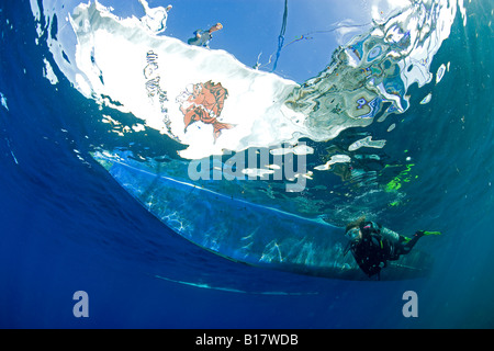 Scuba Diver en vertu de l'Outrigger Bangka bateau de plongée local Central Visayas Philippines Cabilao Island Banque D'Images