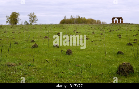 Pré Vert avec un arc sur le vieux fond Rayzan région centrale de Russie Banque D'Images