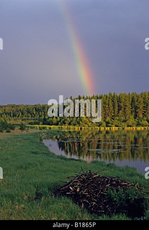 Arc-en-ciel, lac et Beaver Lodge Parc National de Prince Albert, Saskatchewan, Canada Banque D'Images