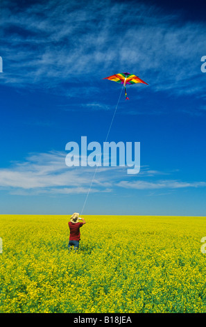 Une jeune fille de ferme vole un cerf-volant dans un champ de canola floraison, près de Somerset, Manitoba, Canada Banque D'Images