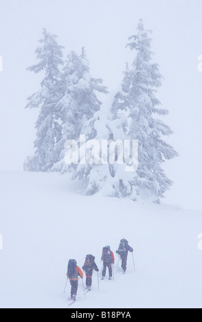 Les skieurs de randonnée le long de la crête de Paul vers Elfin Lakes, Garibaldi Provincial Park, British Columbia, Canada. Banque D'Images