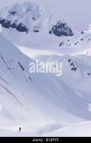 Ski de randonnée dans le parc provincial Garibaldi, British Columbia, Canada. Banque D'Images