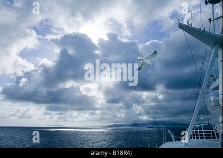 Lonesome seagull flying en hiver la lumière sur le détroit de Gibraltar Banque D'Images