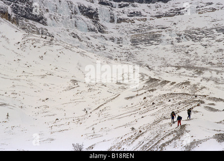 Approche trois chutes Bow. Rocheuses Canadiennes. L'Alberta, Canada. Banque D'Images
