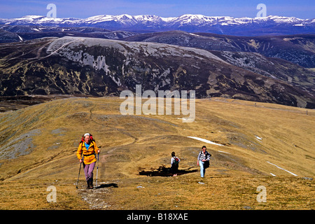 Ordre croissant Glas Maol de Glen Shee dans le Parc National de Cairngorms Banque D'Images