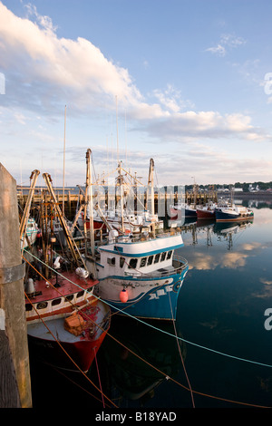 La flottille de pêche du pétoncle à Fisherman's Wharf (l'une des plus grande flotte de chalutiers-pétoncles, les pêcheurs du monde-célèbre Digby s Banque D'Images