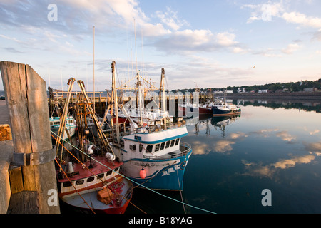 La flottille de pêche du pétoncle à Fisherman's Wharf (l'une des plus grande flotte de chalutiers-pétoncles, les pêcheurs du monde-célèbre Digby s Banque D'Images