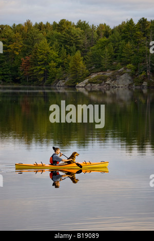 Jeune homme kayak avec chien sur Gull Lake près de Gravenhurst, Ontario, Canada. Banque D'Images
