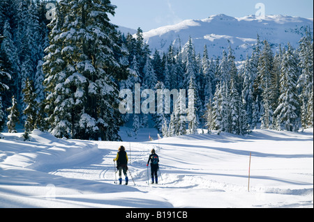 Les skieurs de la région de paradise Meadows, dans la périphérie de Strathcona Park, Courtenay, l'île de Vancouver, Colombie-Britannique, Banque D'Images