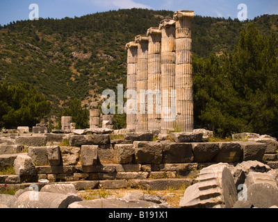 Colonnes du temple d'Athéna, Priène, Turquie Banque D'Images