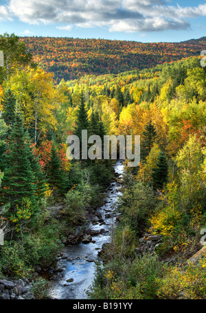 Petite rivière entourée de montagnes et forêt en automne feuillage, Petite-Rivière-Saint-François, Charlevoix, Québec, Canada Banque D'Images