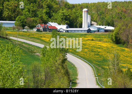 Ferme, Roxton, Estrie, Québec, Canada. Banque D'Images