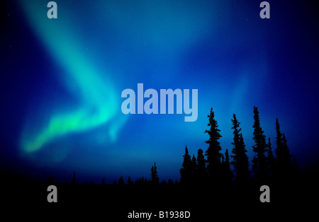 Les aurores boréales sillonnent le ciel du nord de l'Alberta, Canada. Banque D'Images