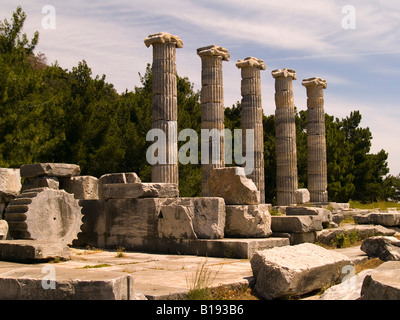 Colonnes du temple d'Athéna, Priène, Turquie Banque D'Images