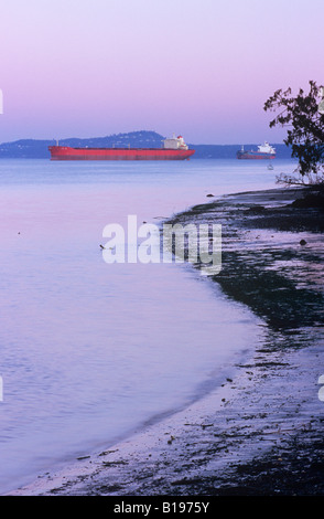 Deux cargos au crépuscule le long de la plage Cherry Point, l'île de Vancouver, Colombie-Britannique, Canada. Banque D'Images