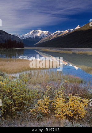 Mont Kitchener reflète dans l'étang près de l'auberge du ruisseau de Beauté, Jasper National Park, Alberta, Canada Banque D'Images