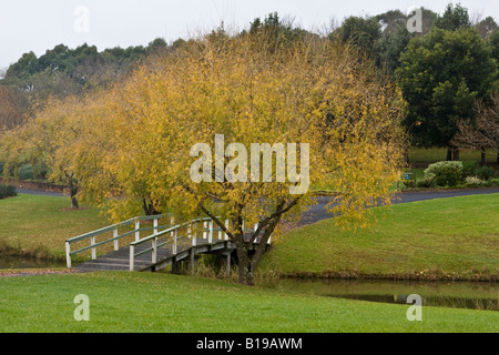 Un pont sur un ruisseau avec une ombre de plus en plus à côté. Banque D'Images