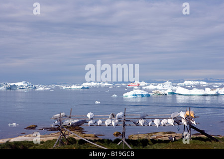 Le Groenland, Ilulissat, Site du patrimoine mondial de l'Icefjord. Sur des étagères à côté de la rive, kayaks construits le long des lignes traditionnelles Banque D'Images