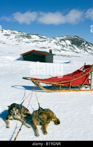 Norvège, Troms, Alpes de Lyngen. Un refuge de montagne offre un abri vital sur le haut plataeau. Banque D'Images