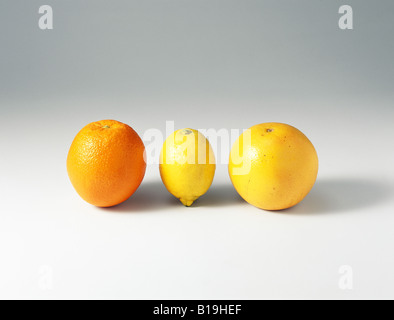 Orange, citron et pamplemousse Banque D'Images