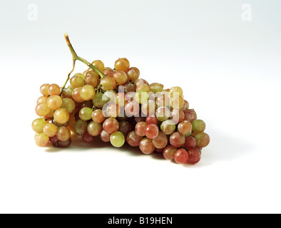 Bouquet de raisins rouges Banque D'Images