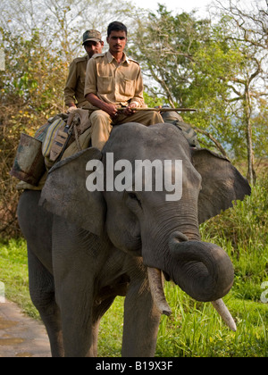 Équitation rangers au sommet d'un éléphant dans le parc national de Kaziranga Banque D'Images