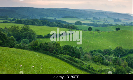 Des terres agricoles de l'Exmoor National Park Angleterre Somerset Banque D'Images