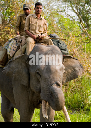 Équitation rangers un éléphant dans le parc national de Kaziranga Banque D'Images