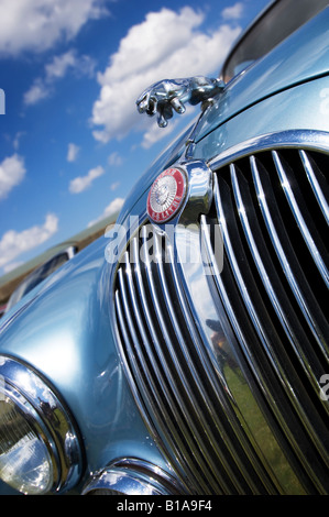 Mk II 38 litre Jaguar S type grill Banque D'Images