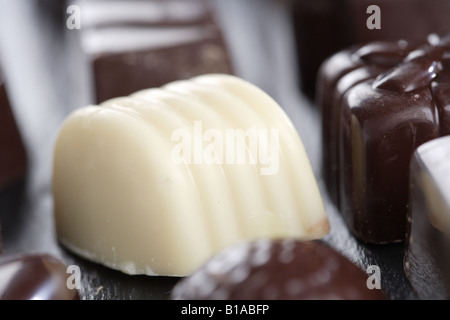 Assorment de fins chocolats belges Banque D'Images