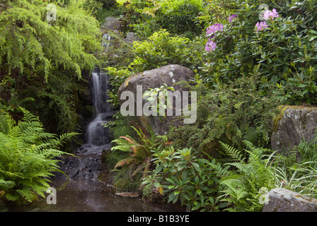 Un étang et cascade à Seattle's Jardin Kubota. Banque D'Images