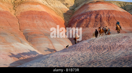 Badlands Round Up, Wyoming Banque D'Images