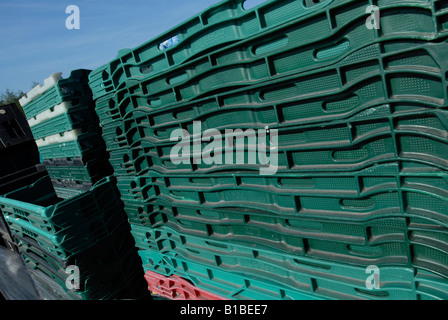 Des piles de plateaux en plastique de supermarché en attente de recyclage Banque D'Images