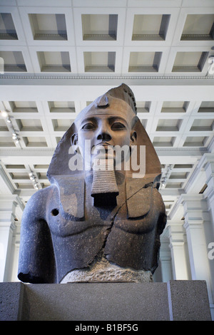 British Museum Londres Angleterre roi statues égyptiennes Banque D'Images