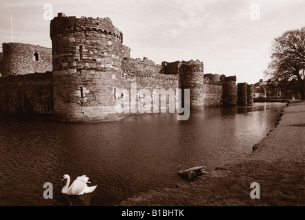 C'est une photographie de beaumaris Castle dans le nord du pays de galles sur l'Anglesey. Il est entouré par un fossé, où un cygne est en premier plan. Banque D'Images