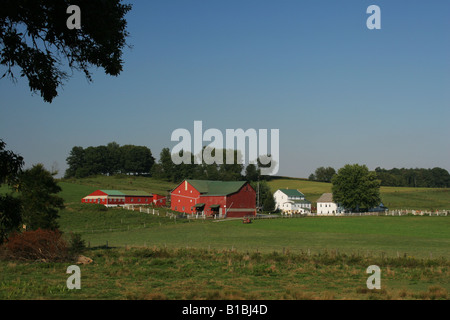 Pays Amish Farm Centre de l'Ohio Banque D'Images