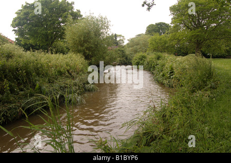 Un canal qui coule dans la région de Montrose, Burnt Oak Pk, Barnet, London Banque D'Images