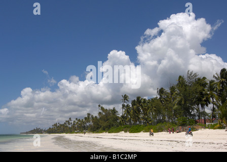 Géographie / billet, la Tanzanie, La Glacerie, Bwejuu, Zanzibar, plage-Additional-Rights Clearance-Info-Not-Available Banque D'Images