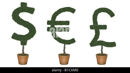 Arbres topiaires en forme de symboles de devises mondiales découper sur fond blanc Banque D'Images