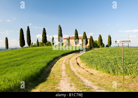 Gîte rural et de cyprès, Valle de Orcia, Toscane, Italie Banque D'Images