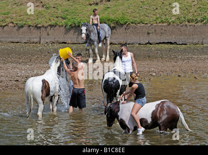 Les voyageurs tsiganes lave-chevaux en rivière Eden. Appleby Horse Fair. Appleby-in-Westmorland, Cumbria, Angleterre, Royaume-Uni. Banque D'Images