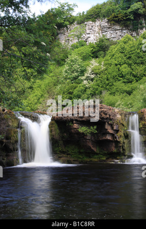 Le Wath Wain vigueur chute près de Keld Swaledale Yorkshire Banque D'Images