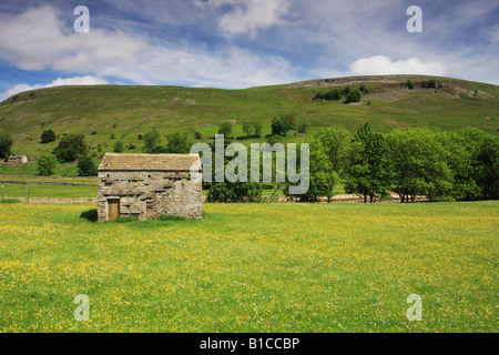 Grange entouré par la floraison Hay Meadow Swaledale Yorkshire Banque D'Images