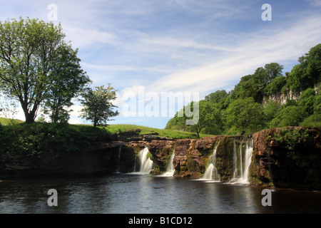 Le Wath Wain vigueur en été près de Keld Swaledale Yorkshire Banque D'Images