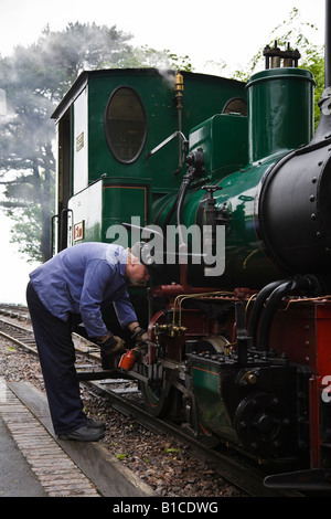 Pilote des tiges de piston moteur lubrification à Woody Bay station, Lynton et Barnstaple Railway, Hartland, Exmoor, Devon Banque D'Images