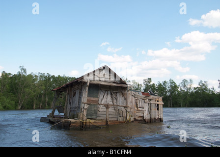 LA LOUISIANE USA Pays Cajun Breaux Bridge marais près de Henderson LA Atchafalaya Banque D'Images