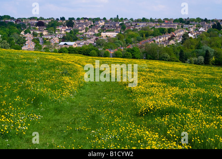 Ceinture verte à terre dans les Cotswolds Chipping Norton Oxfordshire England UK avec des maisons à proximité de prairies préservées Banque D'Images